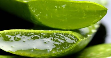 6 beneficii ale sucului de aloe vera