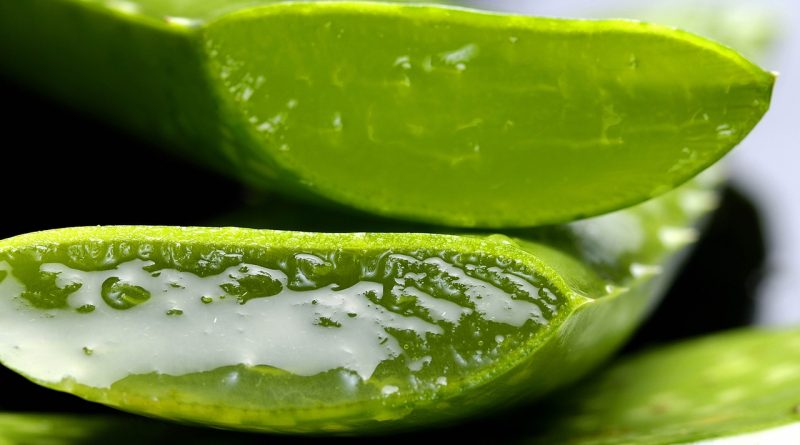 6 beneficii ale sucului de aloe vera