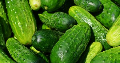 dieta cu supa rece de castraveti