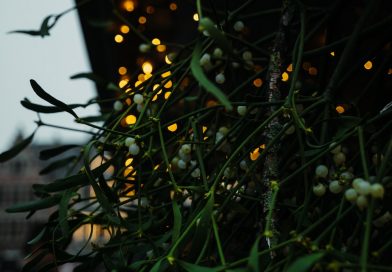 Vascul de Craciun sau Anul Nou – ce semnificatii are? Vascul de Craciun sau Anul Nou – ce semnificatii are?