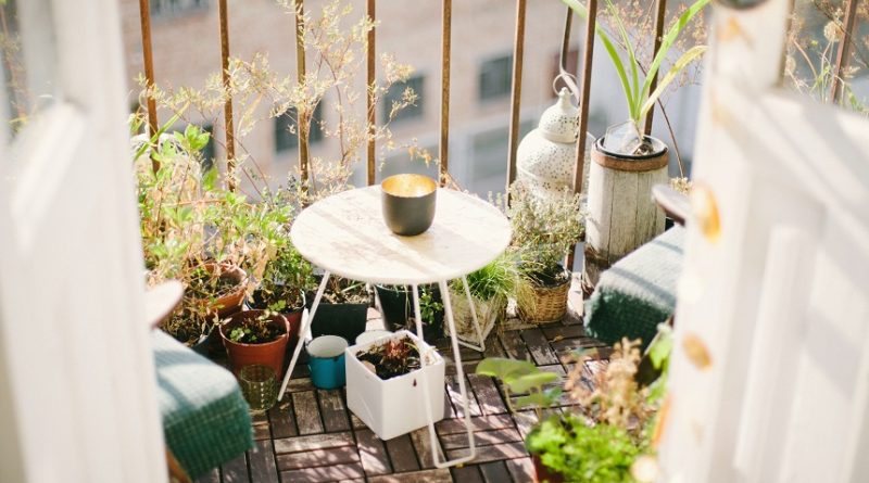 Plante pe care le poti cultiva pe balcon
