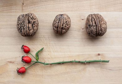 Alimente pentru creier – ce sa mananci mai des