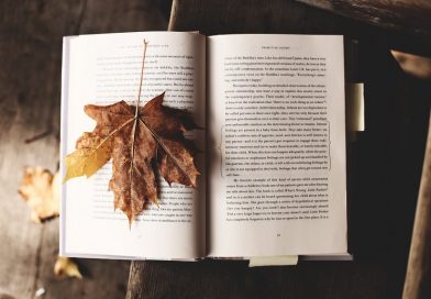 Cum sa te distrezi in zilele ploioase de weekend? Cum sa te distrezi in zilele ploioase de weekend?