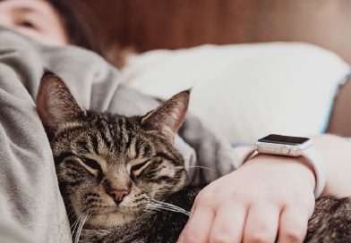 De ce sa dormi pe partea stanga? Explicatiile specialistilor De ce sa dormi pe partea stanga? Explicatiile specialistilor