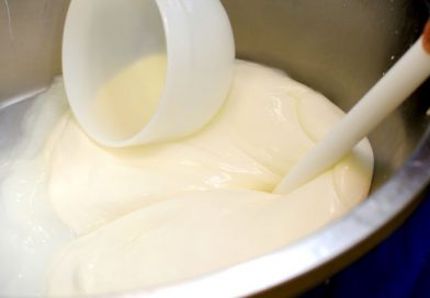 Ce rol are pasteurizarea laptelui pentru pregatirea iaurtului de casa