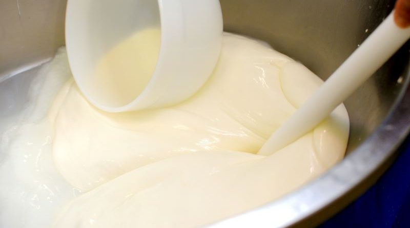 pasteurizarea laptelui