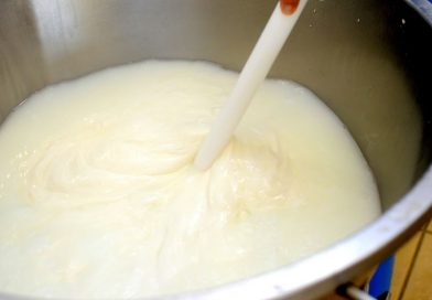 Cum obtii lapte covasit cremos si sanatos acasa sau pentru o productie mai mare